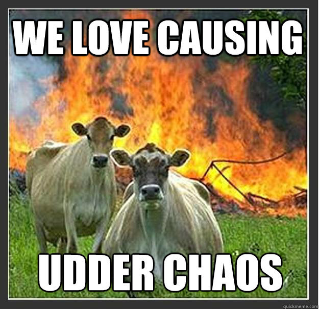 cows.jpg