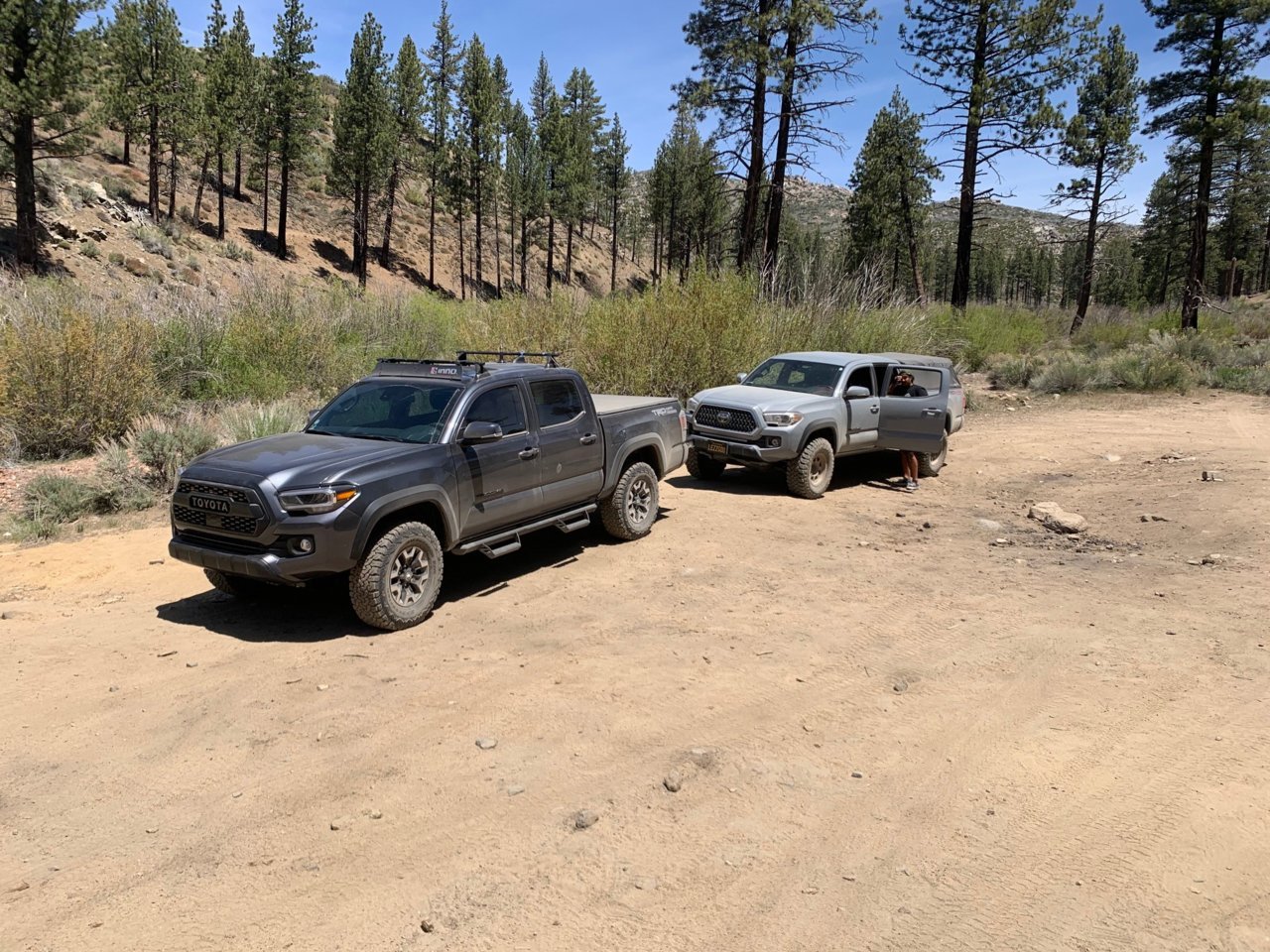 Coxey truck trail4.jpg