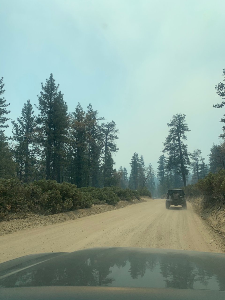 Coxey truck trail6.jpg