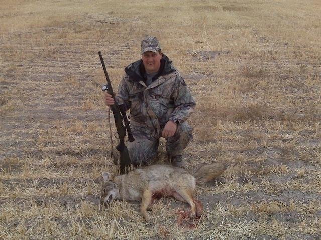 coyote small.jpg