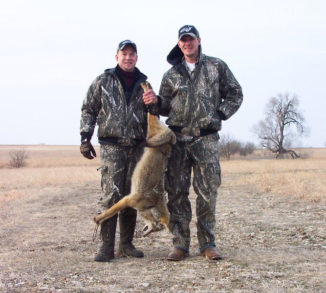 coyote_hunt.jpg