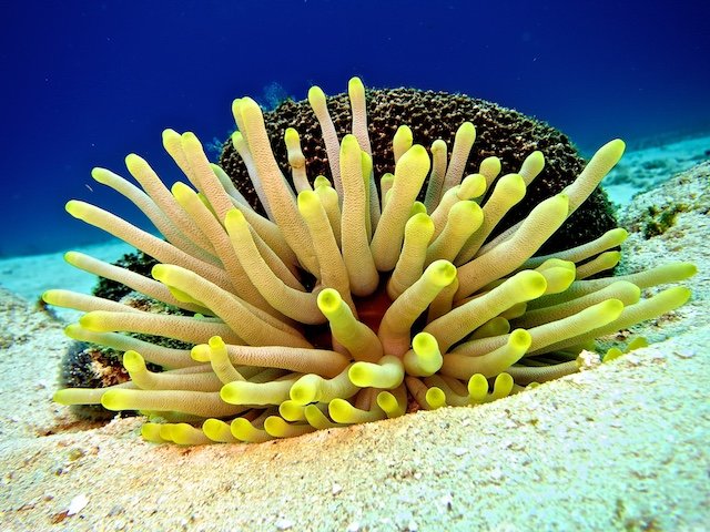 CozumelDiveJuly201318_zpsb50c3f75.jpg
