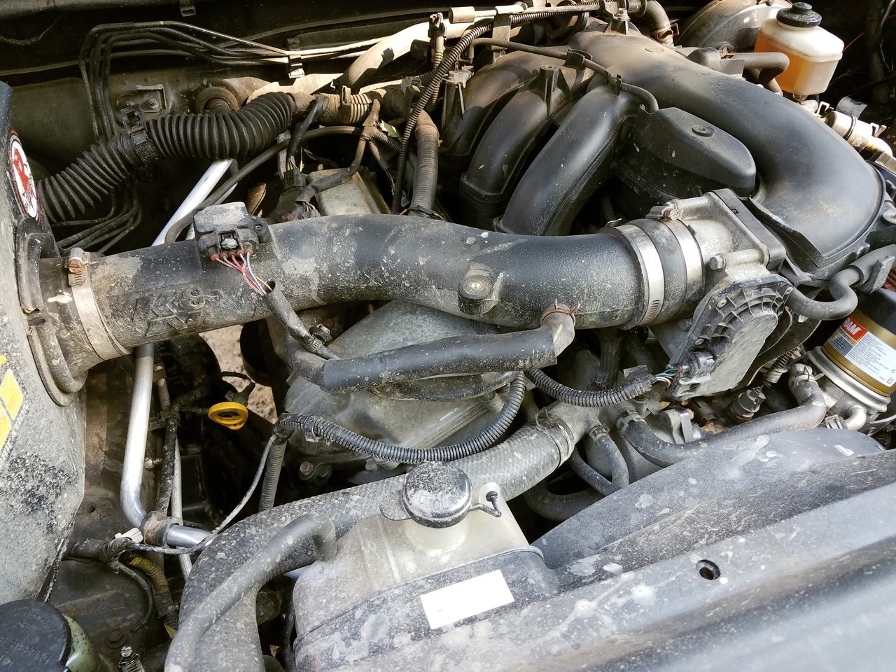 crank case breather hose.jpg
