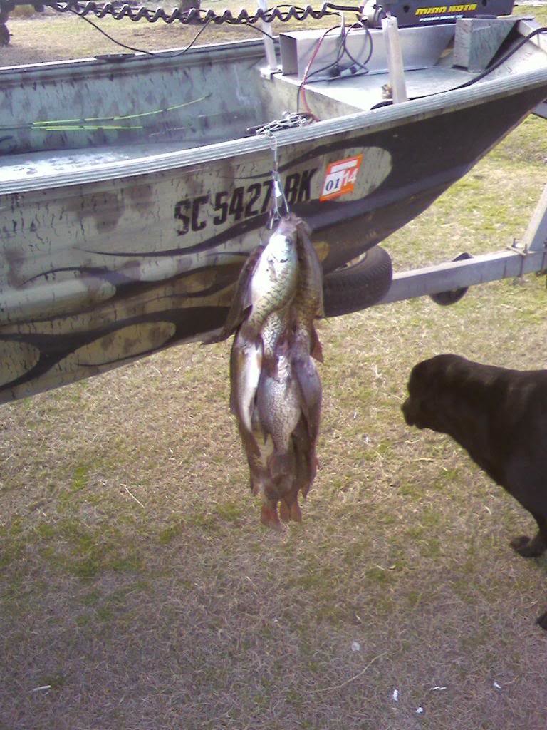 crappie4_1563507340091982b6dfaa799aba240006f60bac.jpg