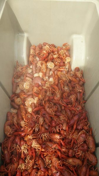crawfish2.jpg