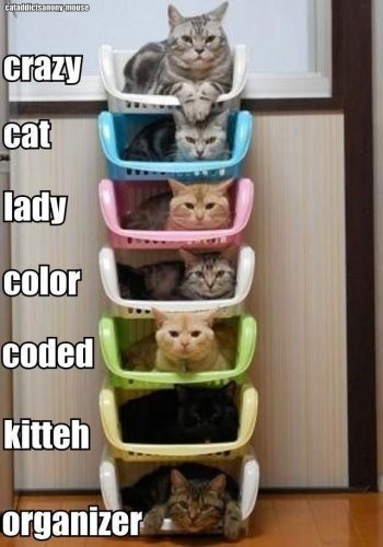 crazy-cat-lady-meme-with-pic-of-stack-of-cats.jpg