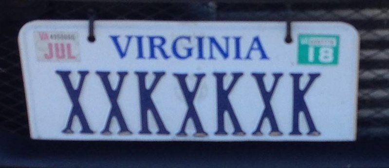 crazy plate.jpg