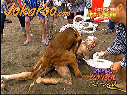 crazyjaps.jpg