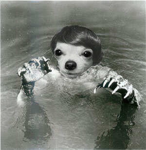 Creature_From_Black_Lagoon_3.jpg