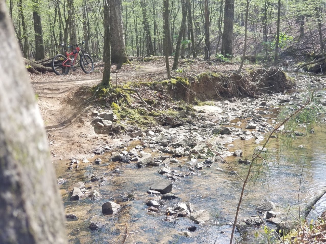 creek1.jpg