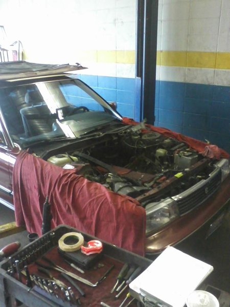 Cressida.jpg