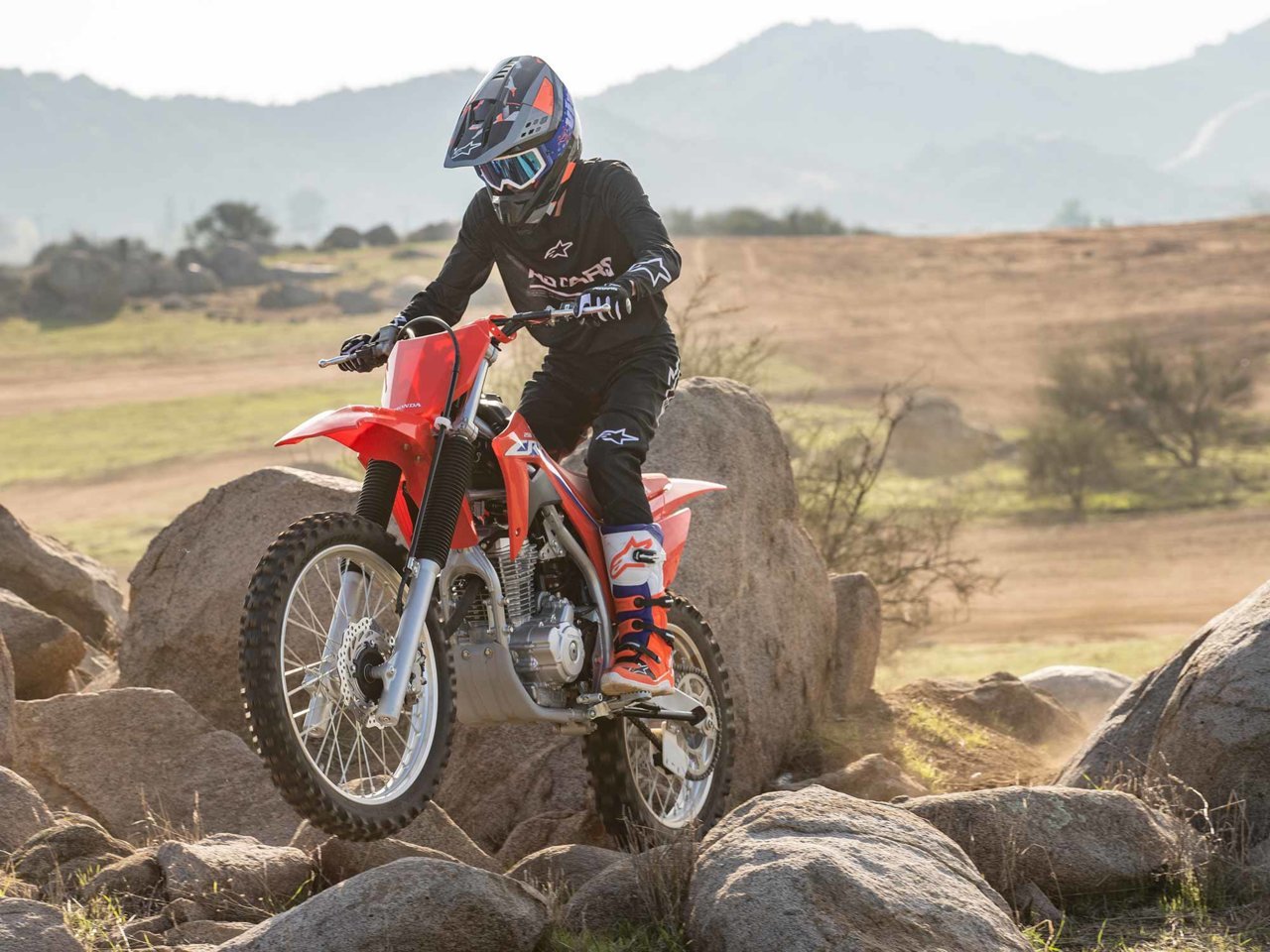 crf4.jpg