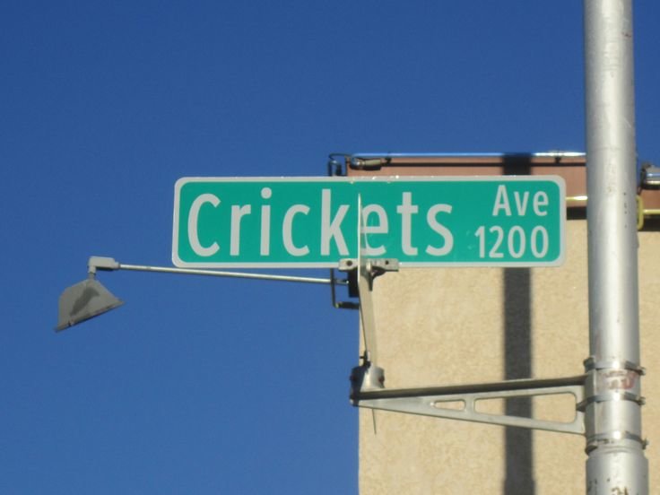 CricketAve_sign.jpg