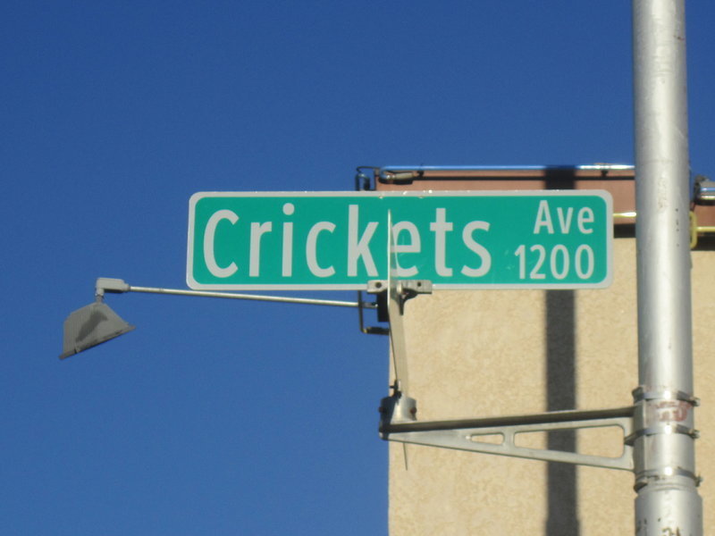 Crickets Ave.jpg