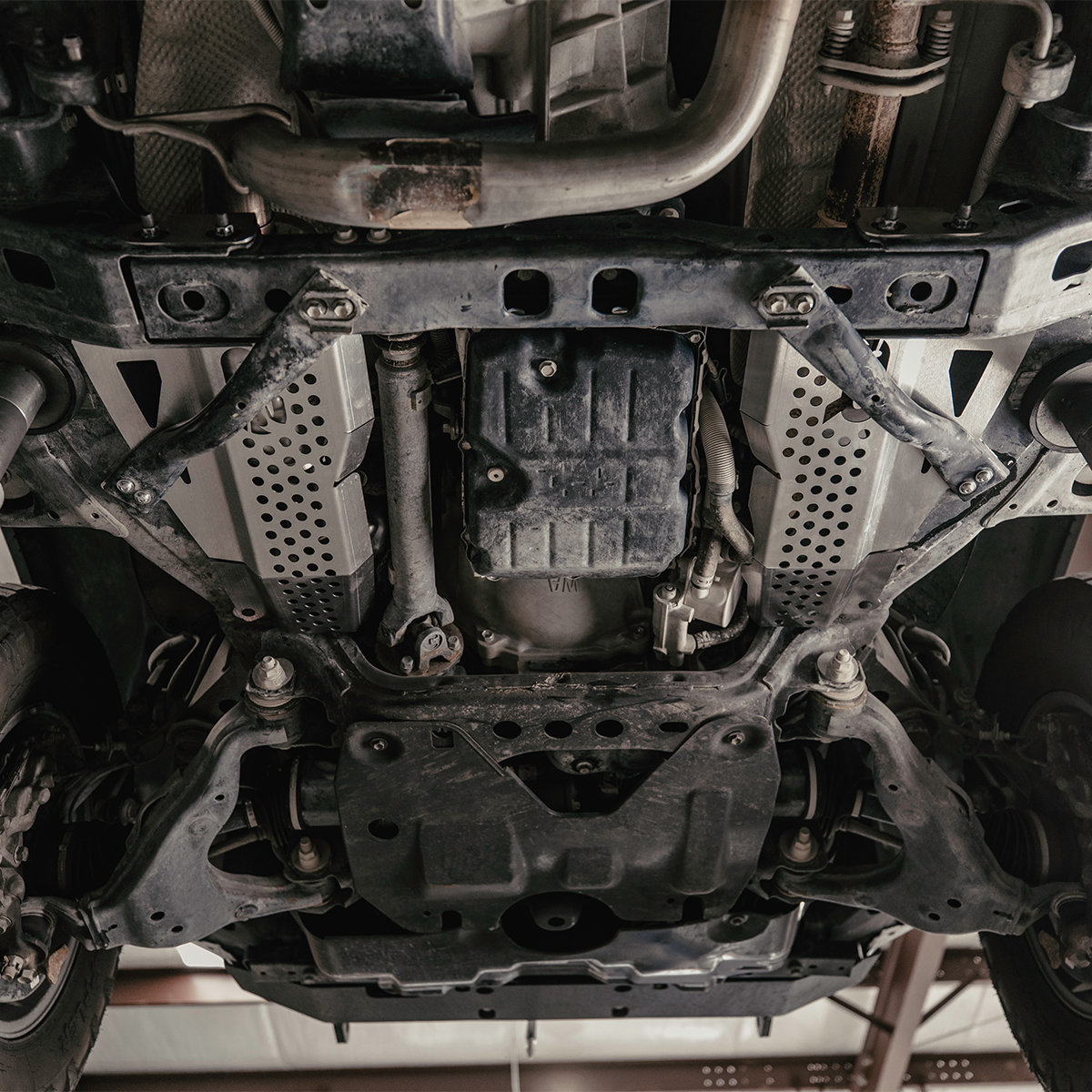 crle-cat-guard_0005_067A4448-Edit (4).jpg