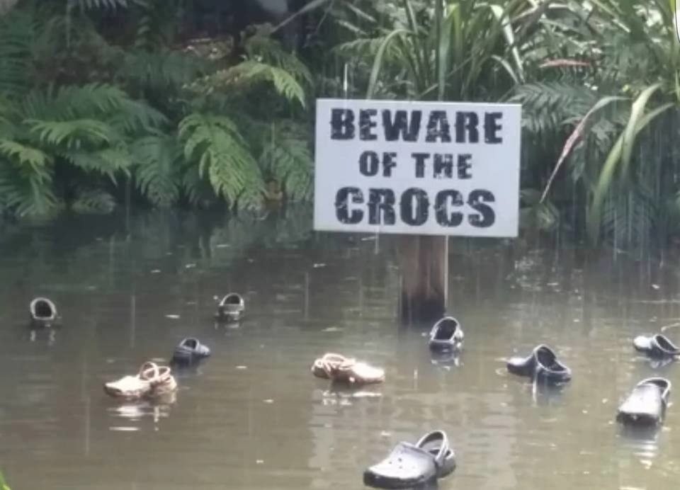 Crocs.jpg