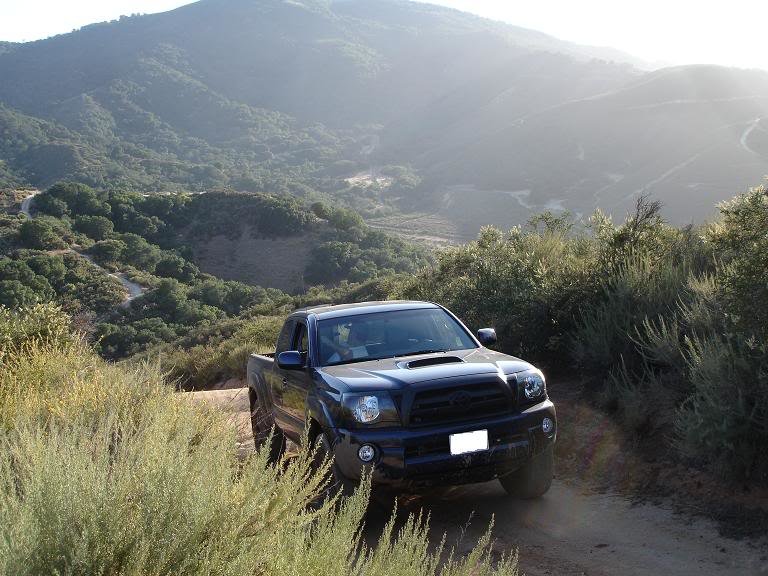 crop4_16ff003004e0fd1c545cf804702cea3be7c8716c.jpg