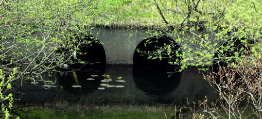 crop_MG_1911-edit.jpg