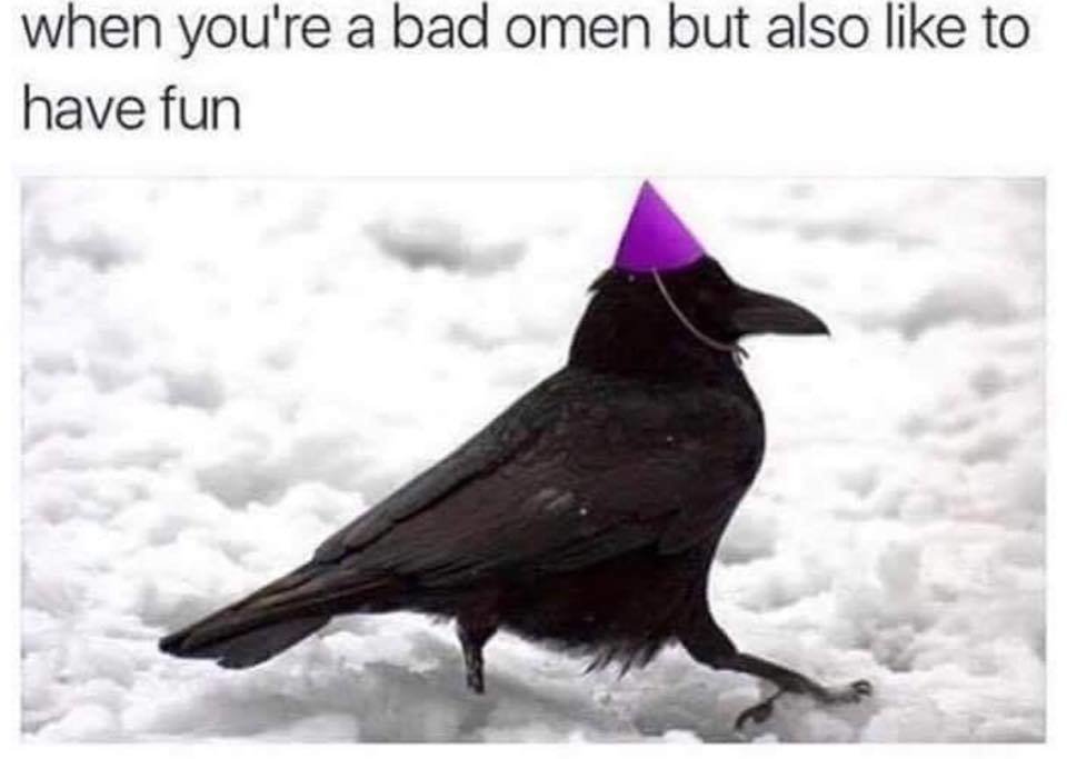 crow-bad-omen-party-hat.jpg