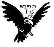 crows feet.jpg