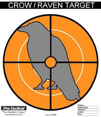 crowtarget.jpg