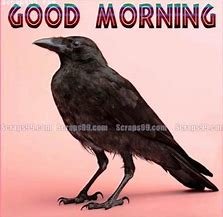 crowwww.jpg