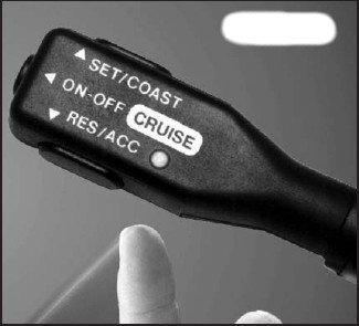 cruise handle.jpg