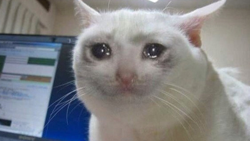 crying[1].jpg