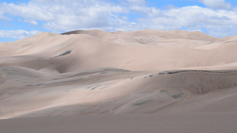 CSC_0309.jpg