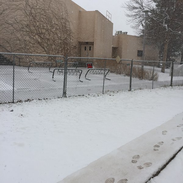 csu snow.jpg