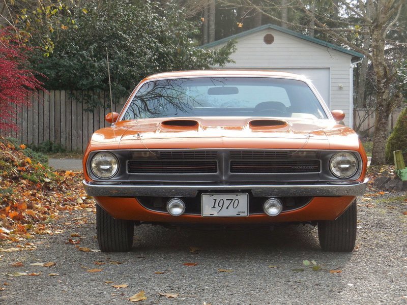 cuda 340 2.jpg