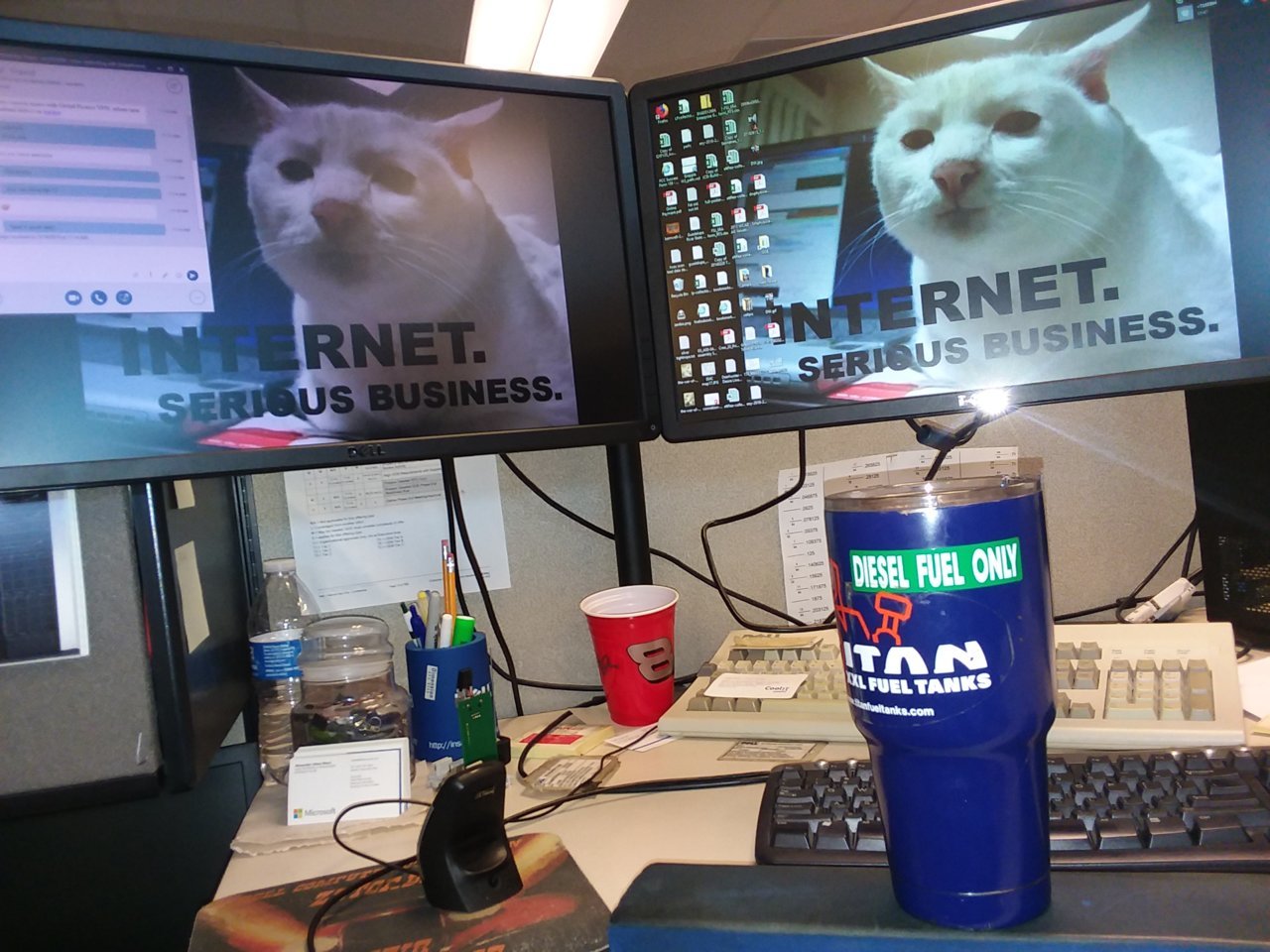 cup.jpg