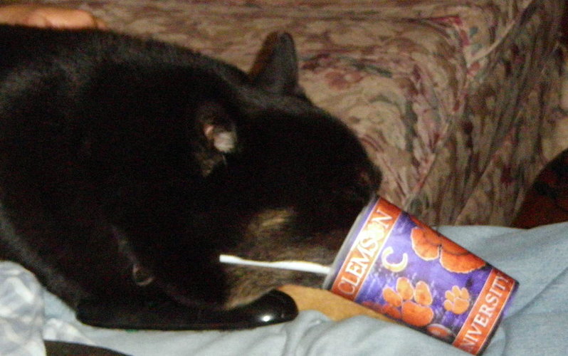 cupa.jpg