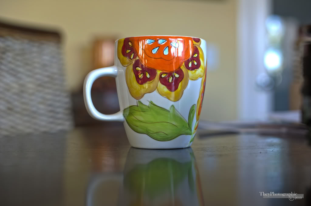 cuphdr_a73c99854ba6a723196392014f8d9caf1f5c86f9.jpg