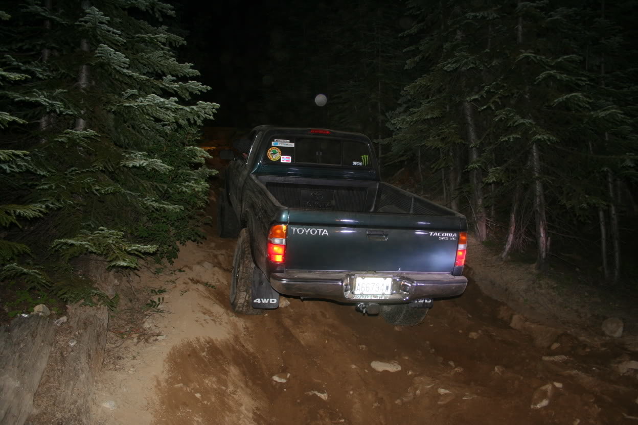 Curtis1_0a294c3c392966da10b099d1a6c60ab0002f2796.jpg