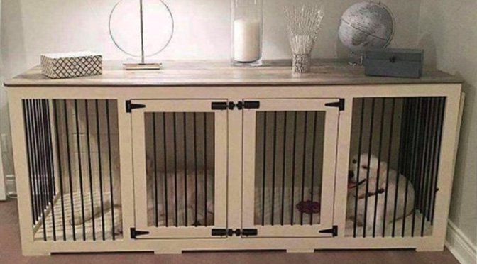 custom-dog-crates.jpg