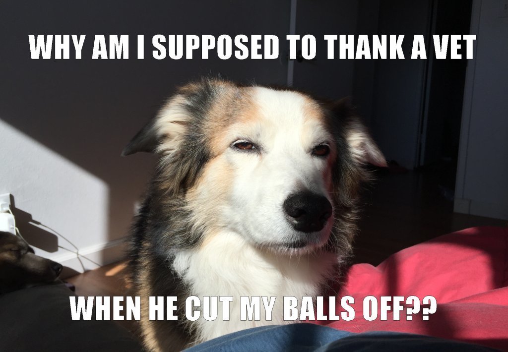 Cut Balls Off.jpg