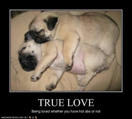 cute-puppy-pictures-true-love-1.jpg