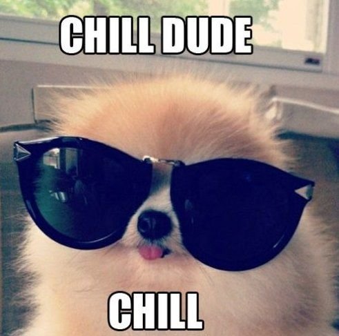 cute-puppy-to-chill-you-meme.jpg
