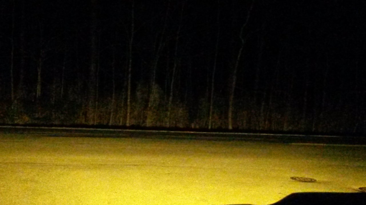 cutoff fogs.jpg