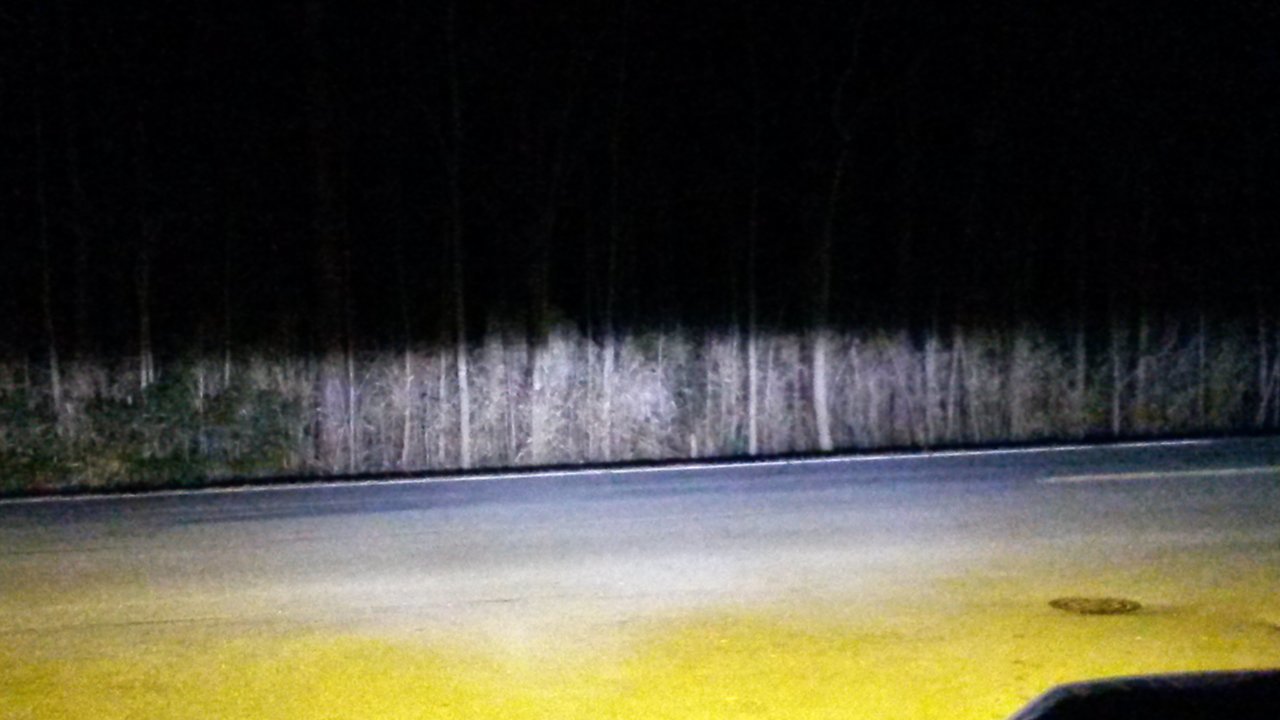 cutoff lows and fogs.jpg