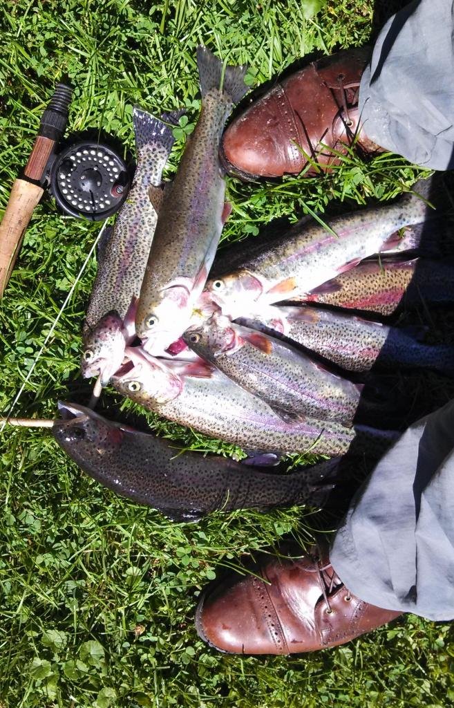CXLFish_zpsbc148a56_cc802d3e25b83d98d55e9d6fd60e7e2a211c0ea5.jpg