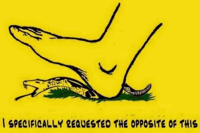 CXt6qAZtTnkLtknpP12MrNjAMNSgYIxn-wtM6Uf9-TE.jpg