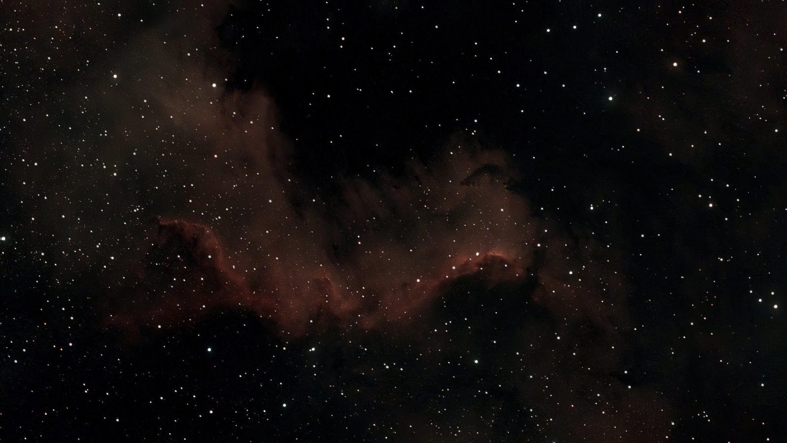 Cygnus Wall Complex-1566-Affinity.jpg