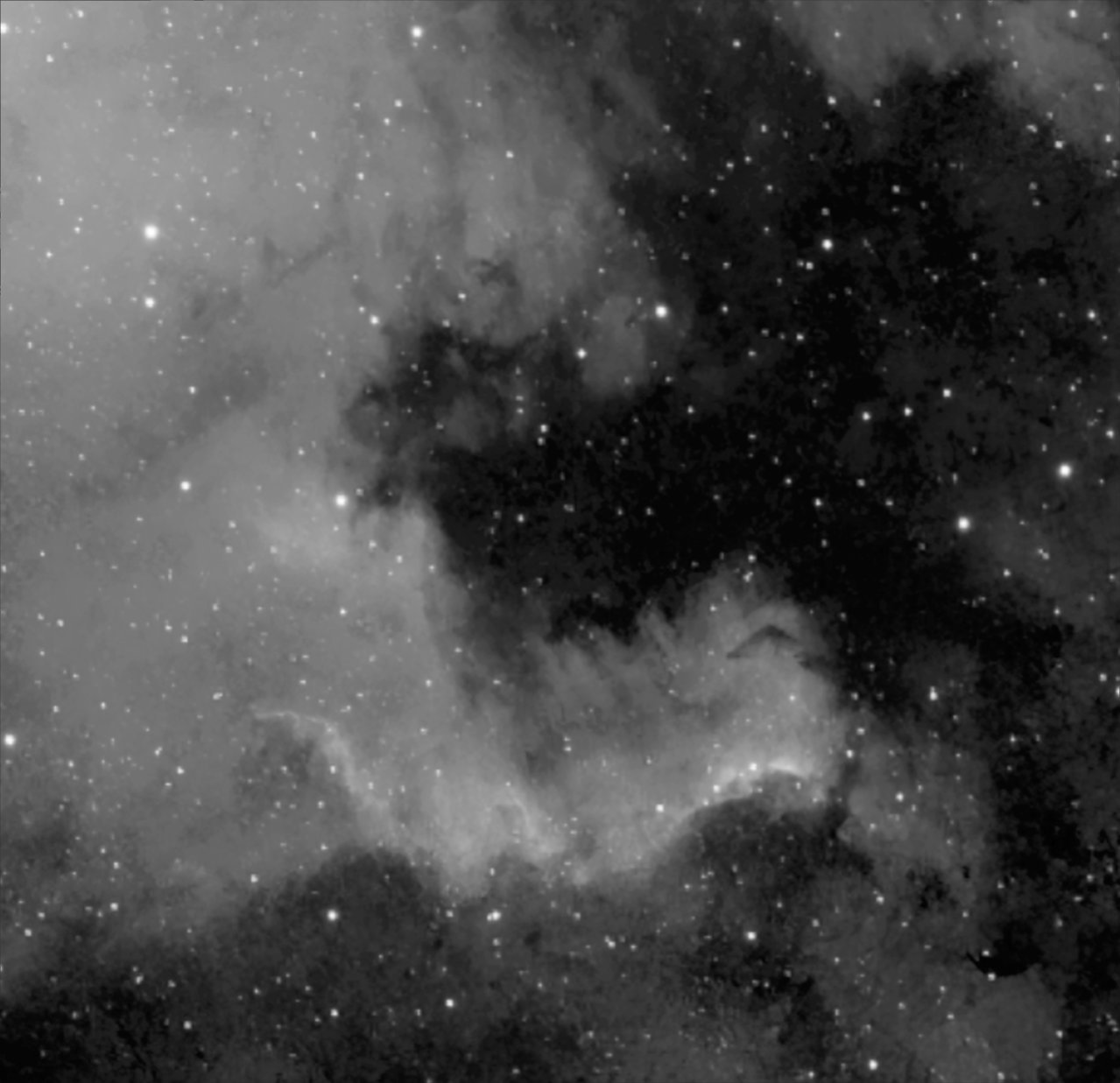 Cygnus Wall Mono.jpg