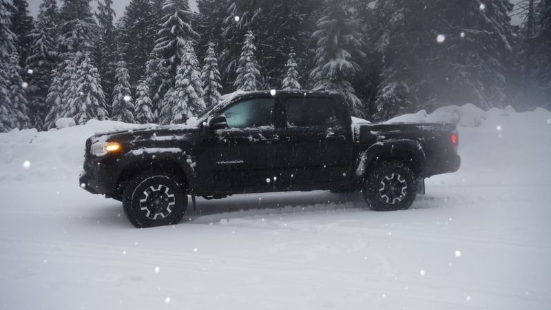 Cypress%20Snow%201_8f18496f80d2f608c94d55c503545f3e2813cda2.jpg