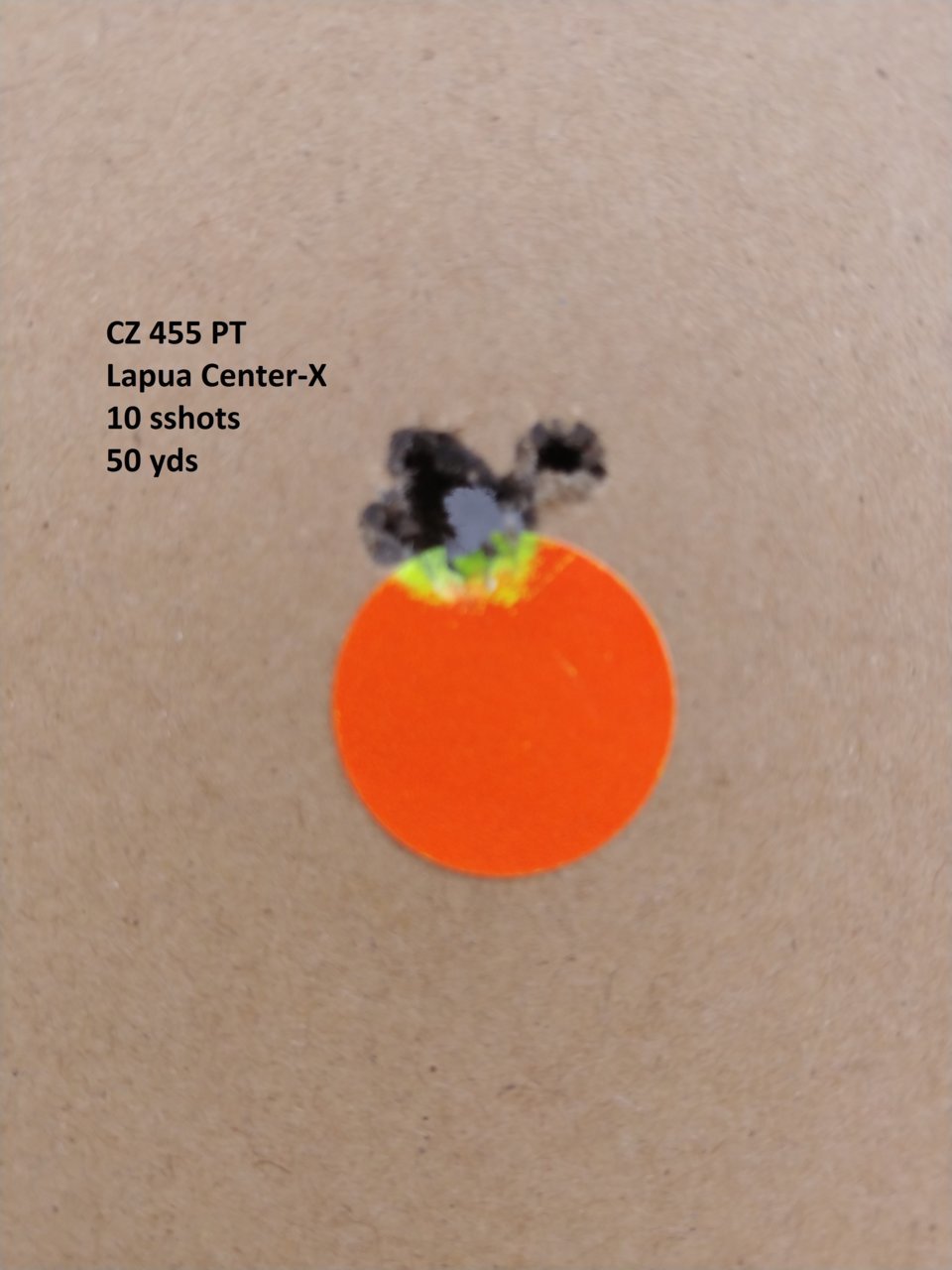 CZ2 - Copy (2).jpg
