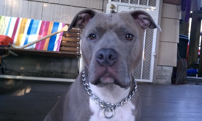 D-MAN_e8f942435d2b59821cbd5e4190829faa3a548c70.jpg