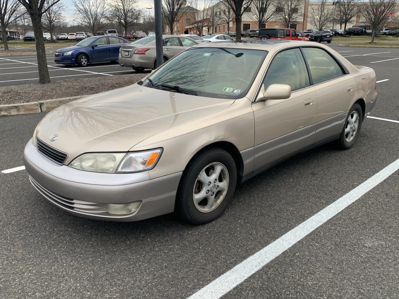 D02A79AE-8C38-4BF2-BD1F-64C4E78446B2.jpg
