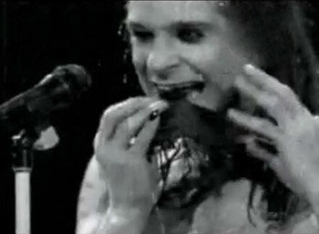 D055_ozzy-3.jpg